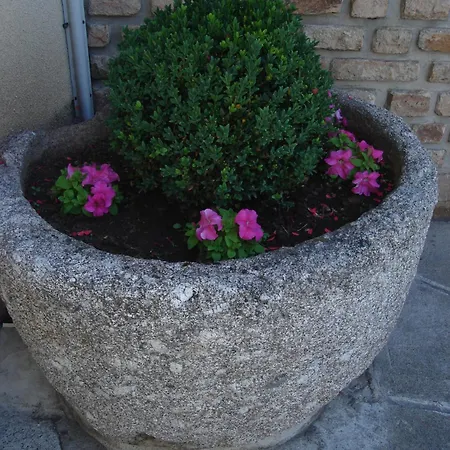 Beausejour فندق شودز آيْج